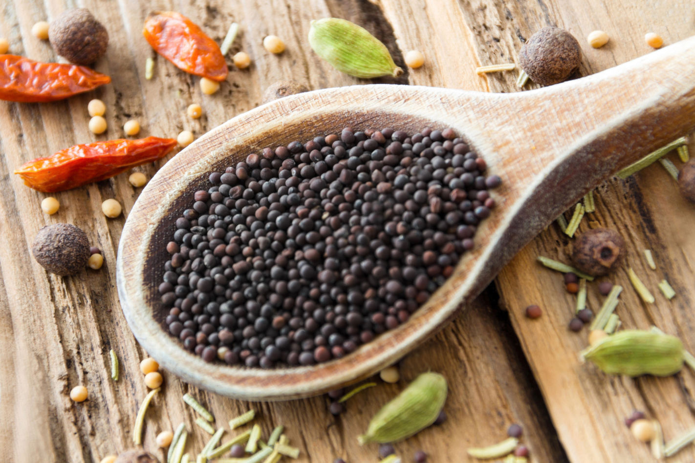 Black Mustard Seeds (Brassica nigra)