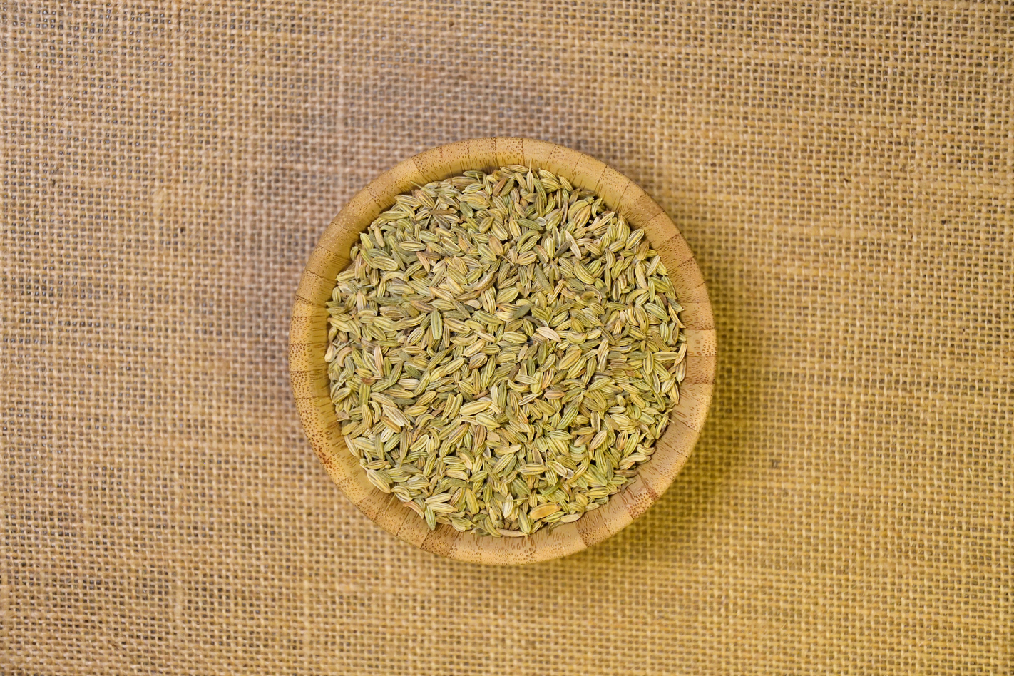 Bitter Fennel Seeds (Spice)
