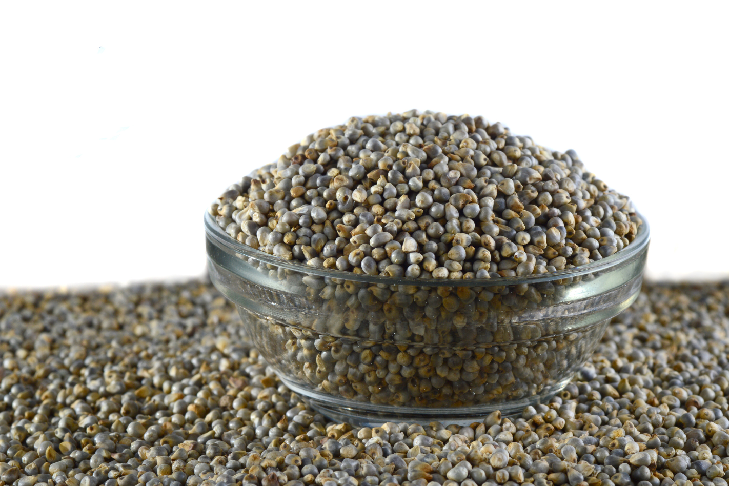 Pearled Bajra