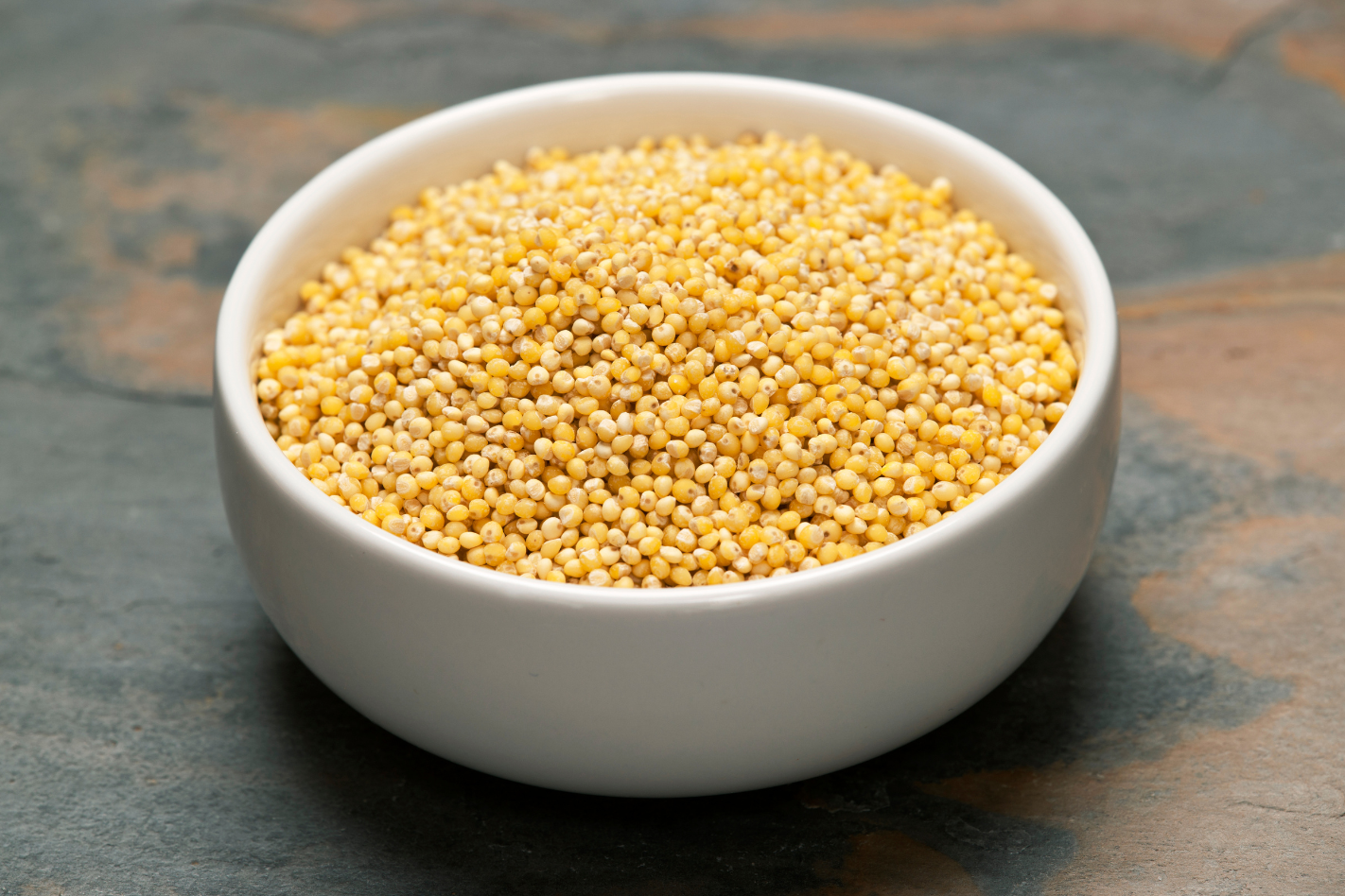 Foxtail Millet